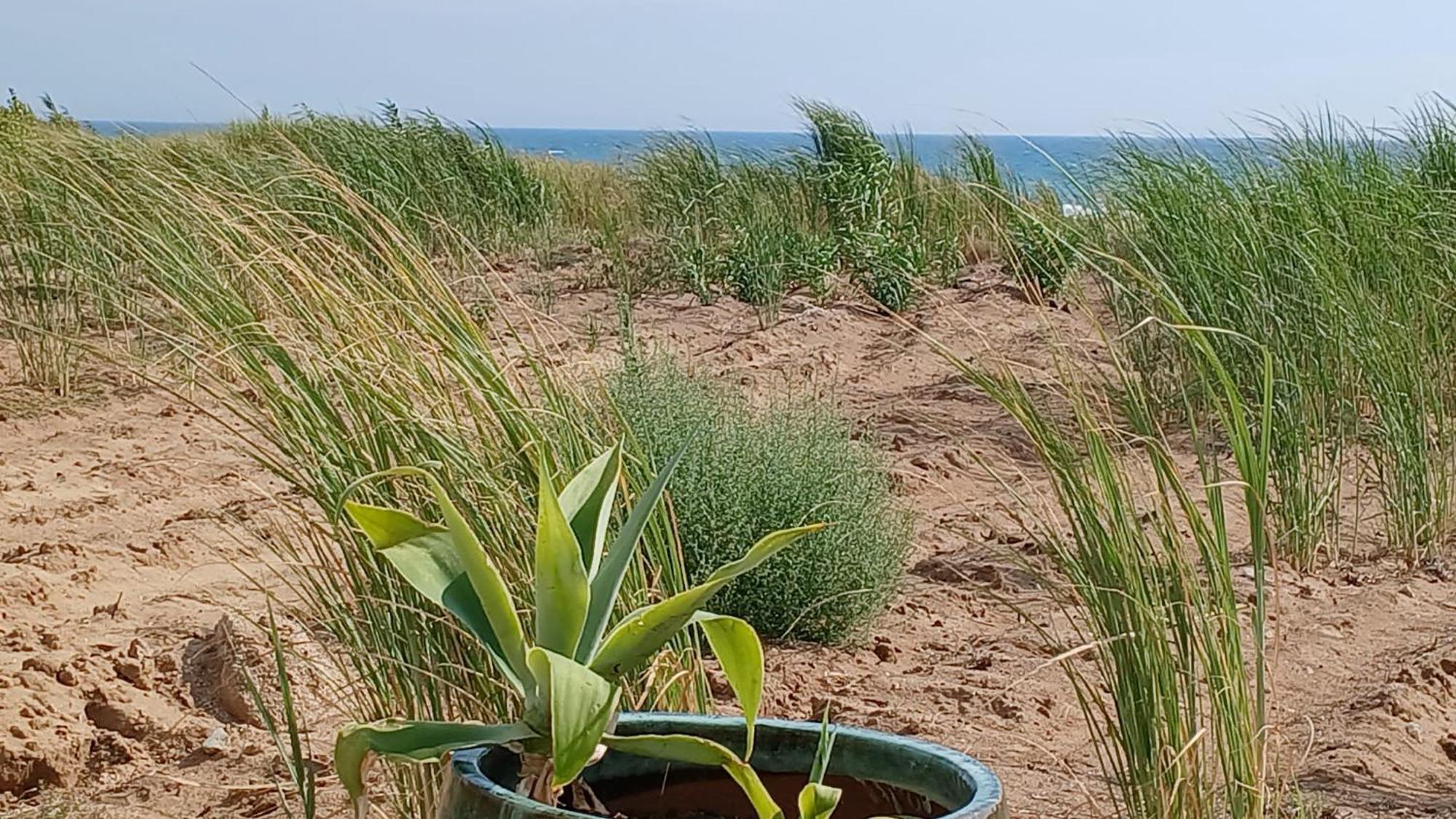 Вилла Fin Fiori Менфи Экстерьер фото