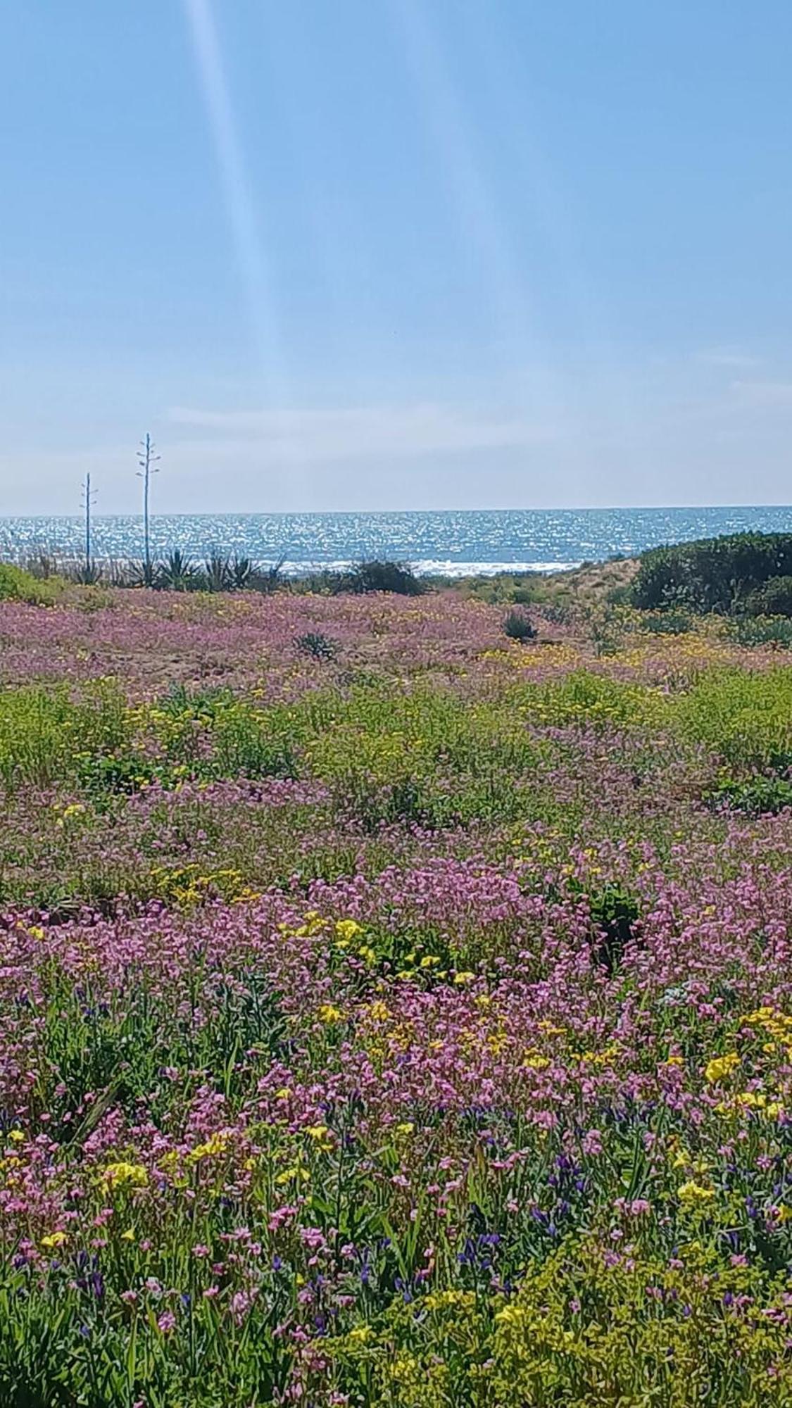 Вилла Fin Fiori Менфи Экстерьер фото